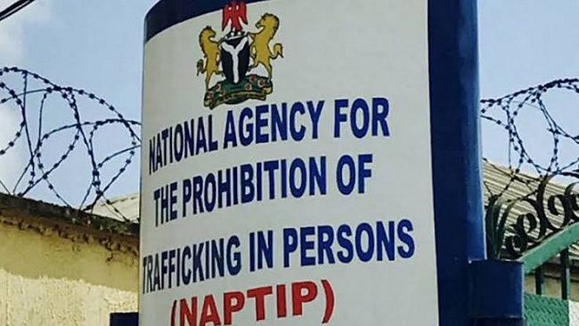 National Agency for the Prohibition of Trafficking in Persons (NAPTIP)