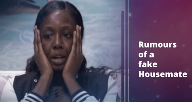 BBNaija 2020 Day 41: Rumours Of Fake Housemate