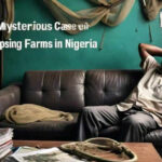 The Mysterious Case of Collapsing Fish Farms in Nigeria
