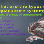 Common Aquaculture Systems In Nigeria